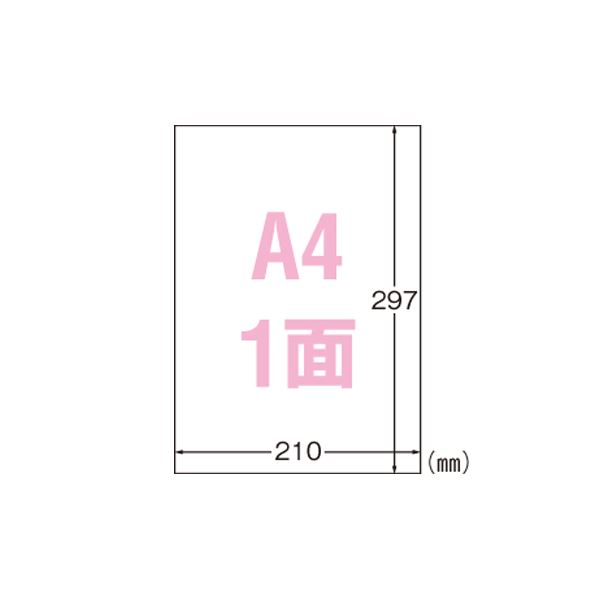 【商品名】 （まとめ） エーワン 屋外でも使えるサインラベルシール 粗面に貼れるタイプ ツヤ消しフィルム・ホワイト 31043 5枚1セット【×2セット】 【ジャンル・特徴】 水ぬれに強く、色あせもし