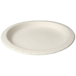 【商品名】 (まとめ) ペーパーウエア ナチュラルパルププレート 22cm NP-22 1パック(100枚) 【×3セット】 【ジャンル・特徴】 飲食用品 簡易食器 紙皿 [ NP-22 ]
