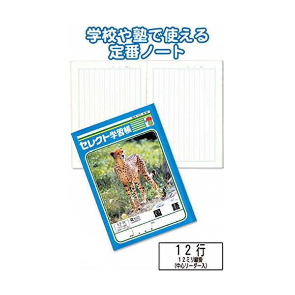 【商品名】 学習帳K-15国語 縦罫12行 【10個セット】 31-378 【ジャンル・特徴】 まとめ買いで！節約！