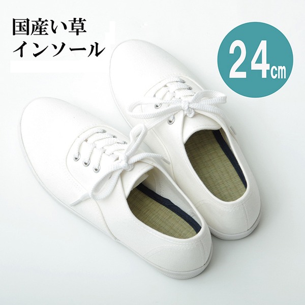 【商品名】 インソール/中敷き 【約24cm】 ネイビー 消臭 日本製 ムレ防止 クッション性 〔靴〕 【ジャンル・特徴】 い草 インソール シューズ 靴 くつ クツ 革靴 皮靴 パンプス ハイヒール