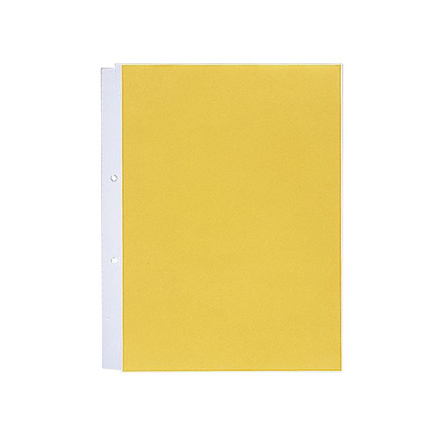 【商品名】 (まとめ) リヒトラブ ルポ・リーンフォース・クリヤーポケット（クリアポケット）（超厚口） A4タテ 2穴 N-2101 1パック（10枚） 【×30セット】 【ジャンル・特徴】 パイプ式