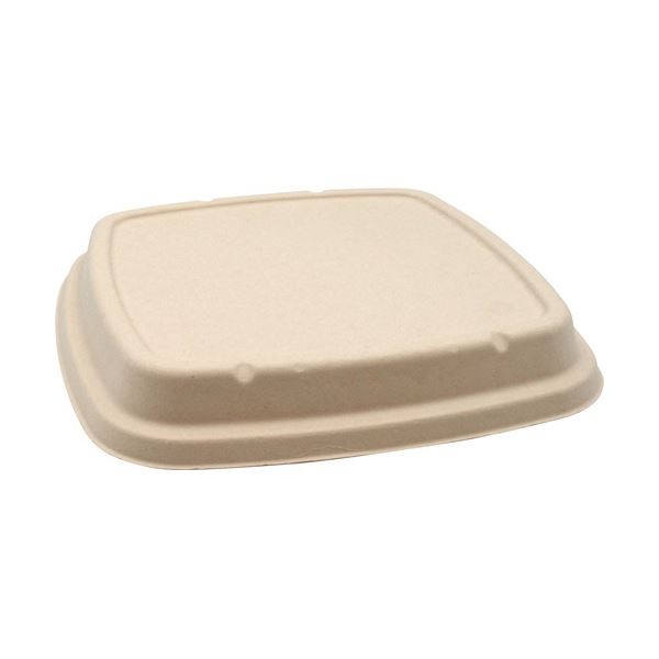 【商品名】 (まとめ) パックスタイル BB竹バガス弁当 N23-23F 共蓋 235×235×高さ18mm 1パック(50枚) 【×3セット】 【ジャンル・特徴】 オール紙製の弁当容器。 [ 653