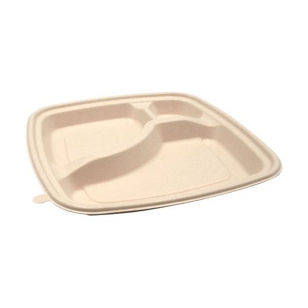 【商品名】 (まとめ) パックスタイル BB竹バガス弁当 N23-23B ラミ 227×227×高さ25mm 1パック(50枚) 【×3セット】 【ジャンル・特徴】 オール紙製の弁当容器。 [ 653