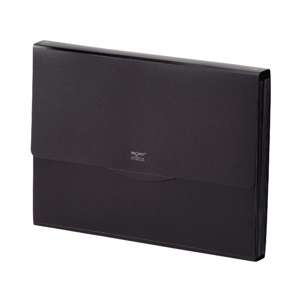 【商品名】 （まとめ） リヒトラブリクエスト 不透明ドキュメントファイル A4 13ポケット 黒 G5800-24 1冊 【×3セット】